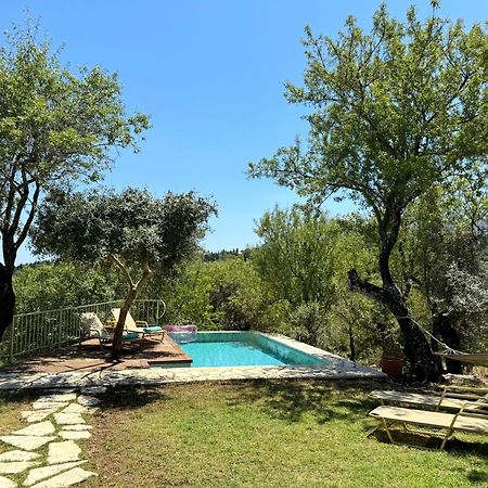 Villa Kodria Alexandros Buitenkant foto